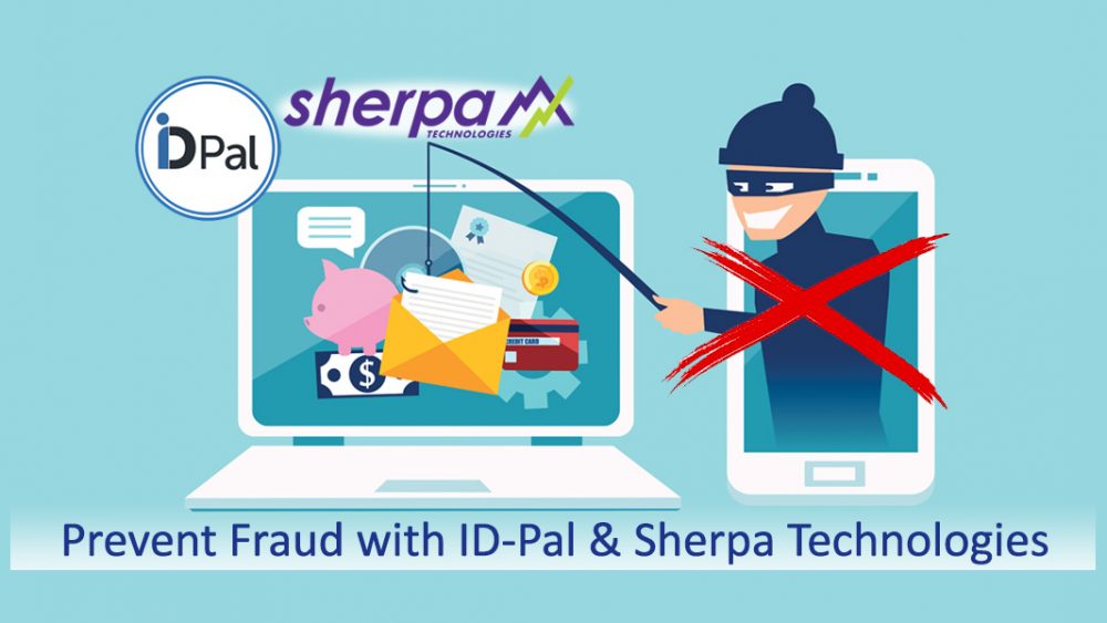 online identity verification fraud